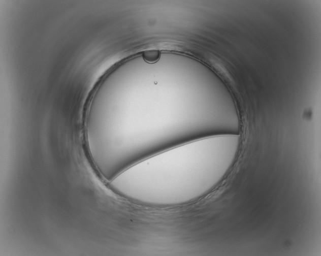 X0000112791087200908210932