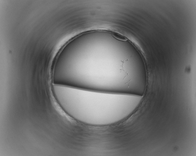 X0000112791088200908210932