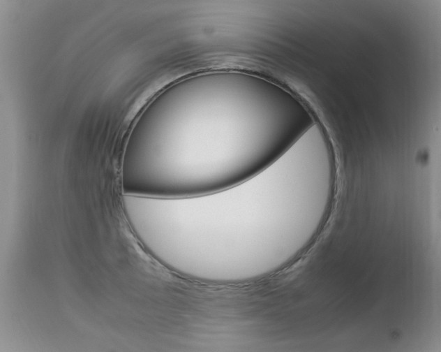 X0000112791089200908210932