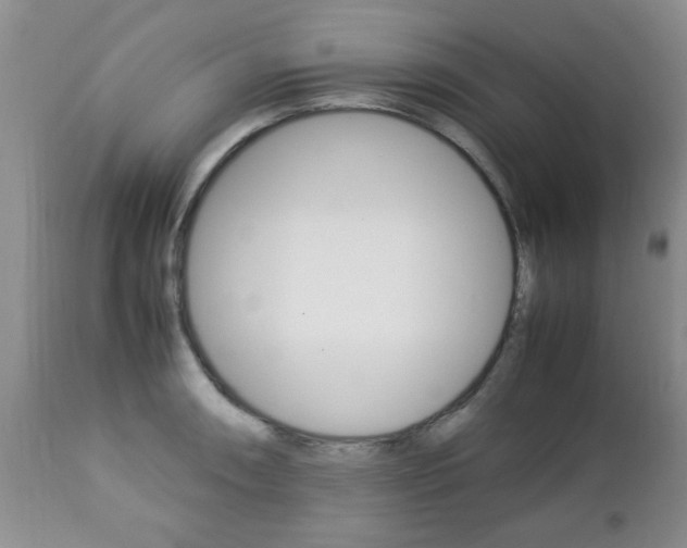 X0000112791090200908210932