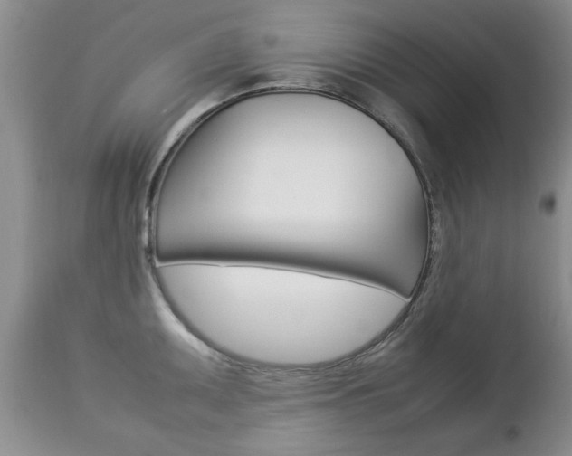 X0000112791095200908210932