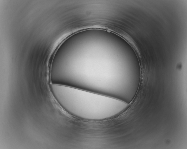 X0000112791096200908210932