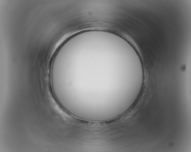 X0000112791099200908210932