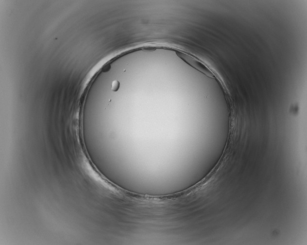 X0000112791100200908210932
