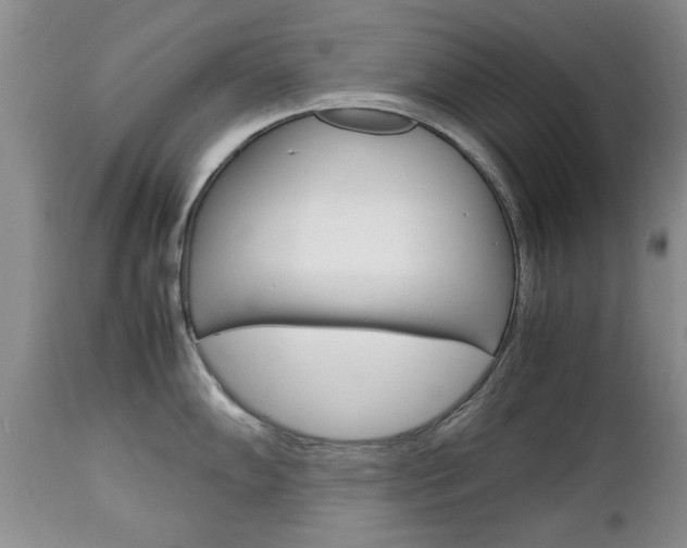 X0000112791102200908210932