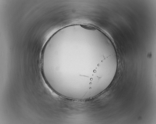 X0000112791103200908210932