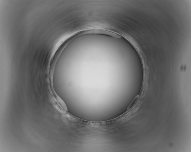 X0000112791104200908210932