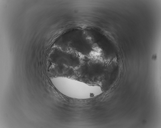 X0000112791105200908210931