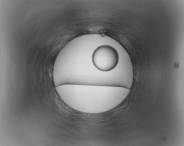 X0000112791106200908210931