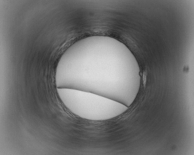 X0000112791107200908210931