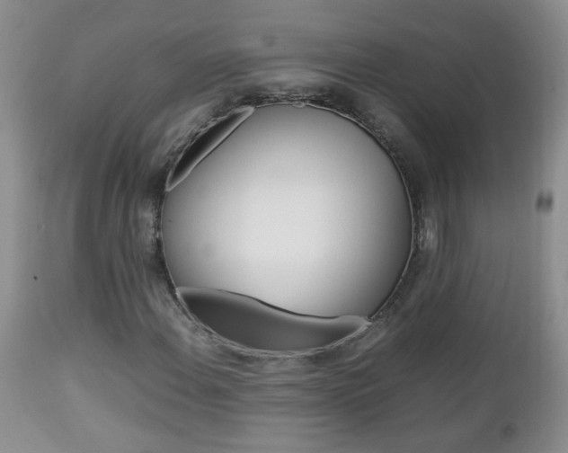 X0000112791108200908210931