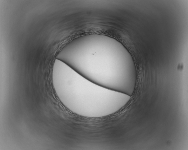 X0000112791109200908210931