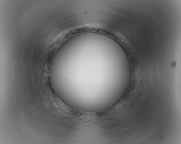 X0000112791110200908210931