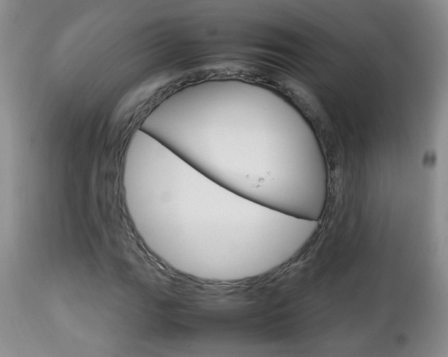 X0000112791111200908210931