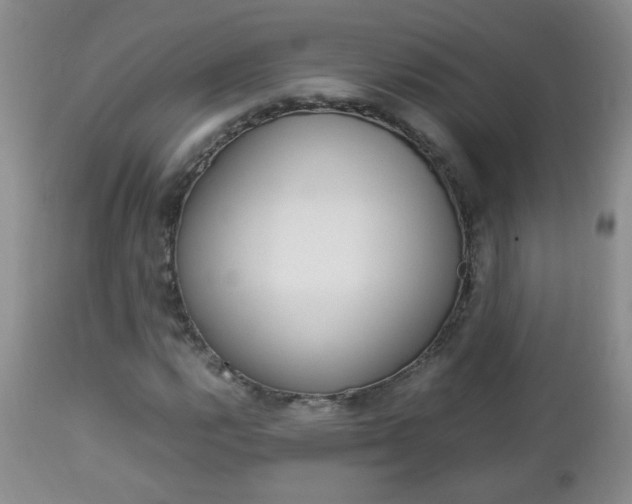 X0000112791112200908210931