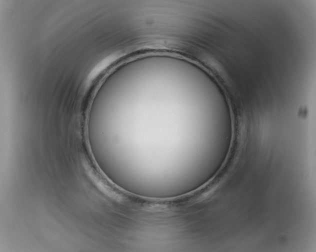 X0000112791114200908210932