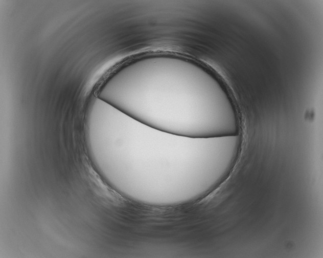 X0000112791115200908210932