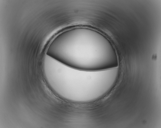 X0000112791118200908210932