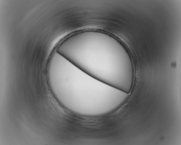 X0000112791119200908210932