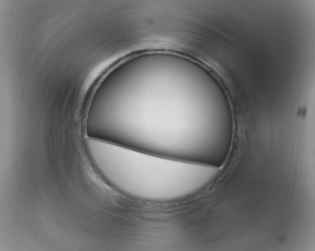 X0000112791120200908210932