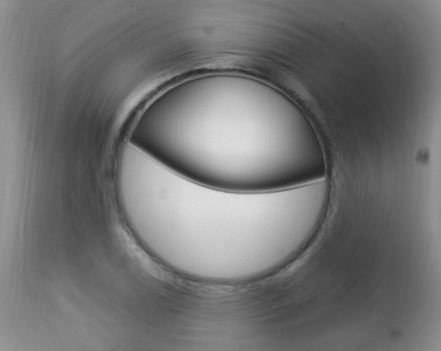 X0000112791122200908210932