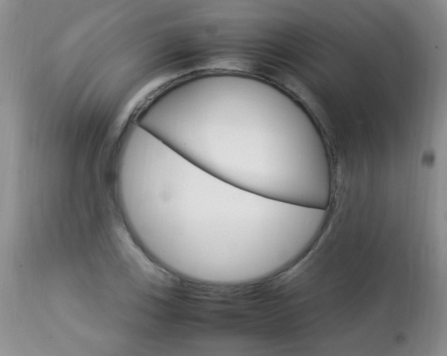 X0000112791123200908210932