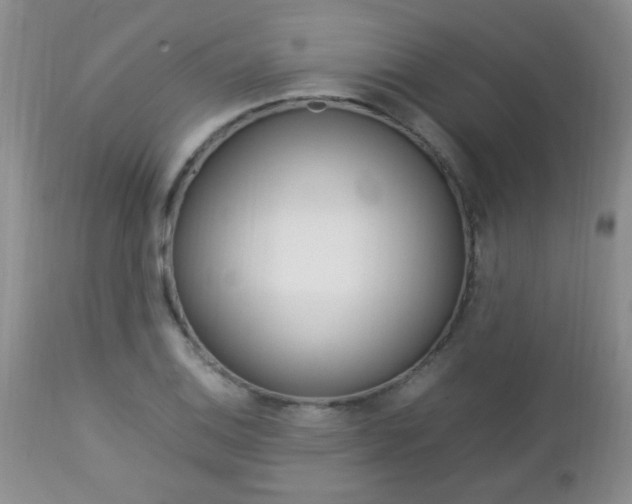 X0000112791124200908210932