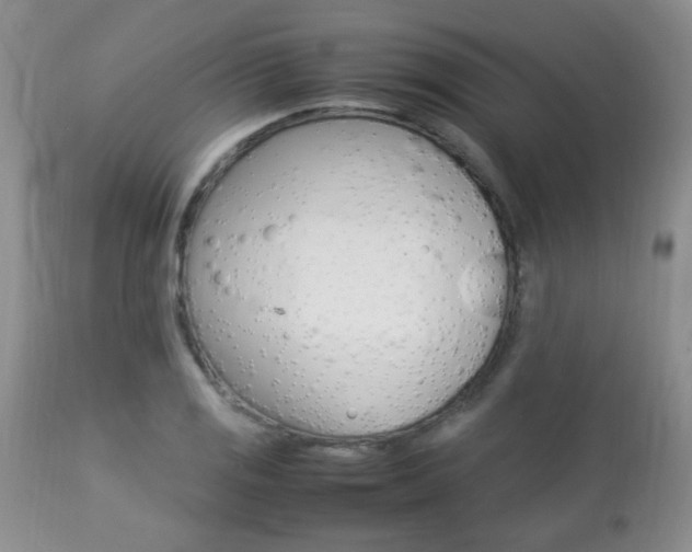 X0000112791125200908210932