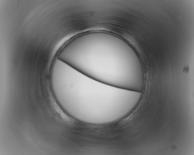 X0000112791127200908210932