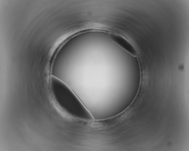 X0000112791128200908210932