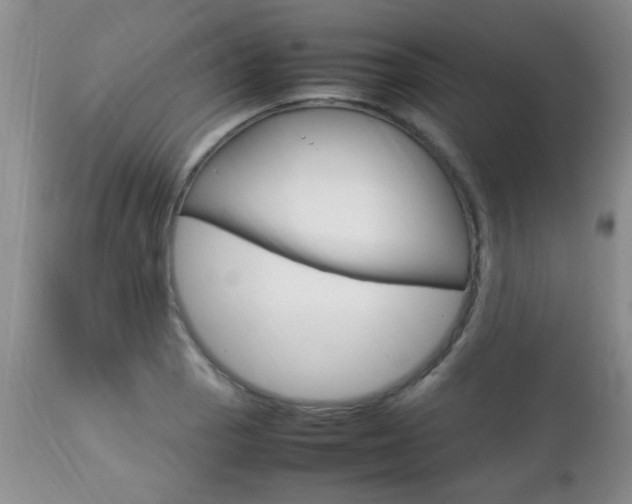 X0000112791129200908210932