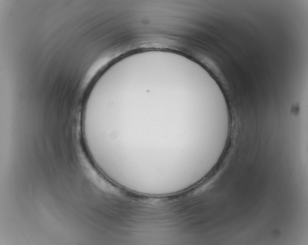X0000112791130200908210932