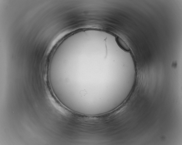 X0000112791131200908210932