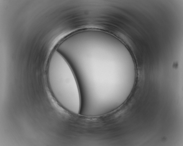 X0000112791133200908210932