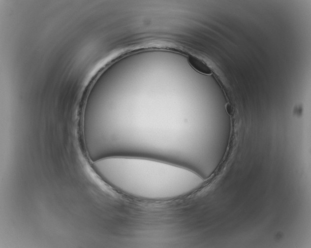 X0000112791134200908210932