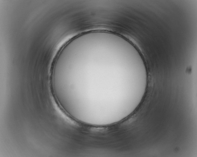 X0000112791135200908210932
