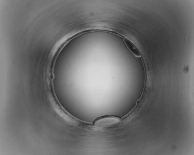 X0000112791136200908210932