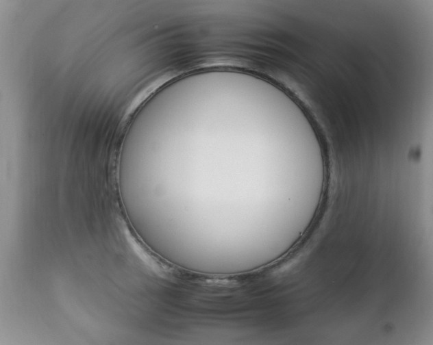 X0000112791137200908210932