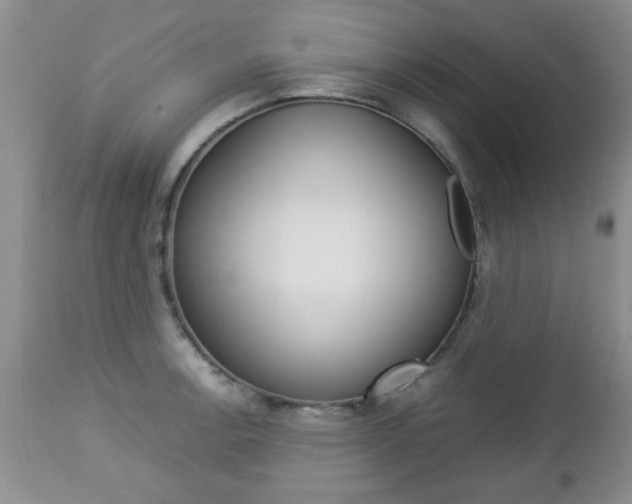 X0000112791138200908210932