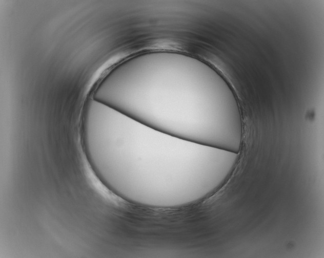X0000112791139200908210932