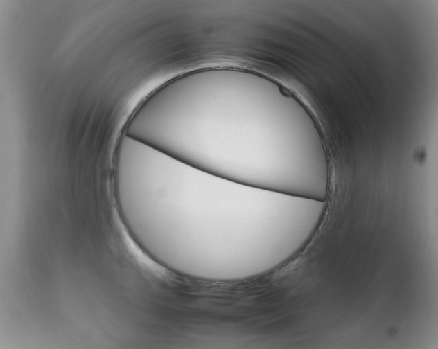 X0000112791143200908210932