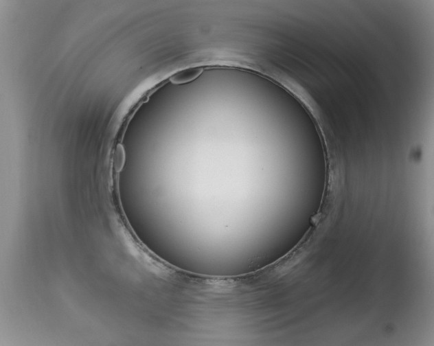 X0000112791144200908210932