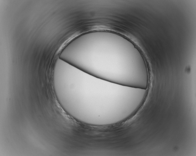 X0000112791145200908210932