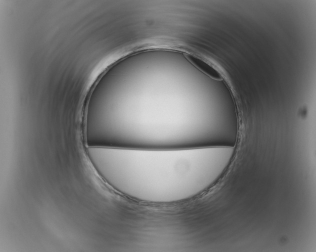 X0000112791146200908210932