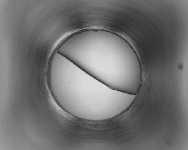 X0000112791147200908210932