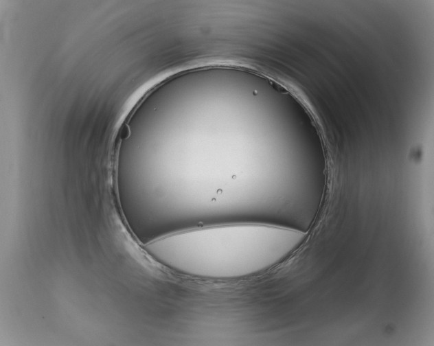 X0000112791148200908210932