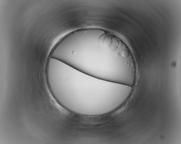X0000112791149200908210932