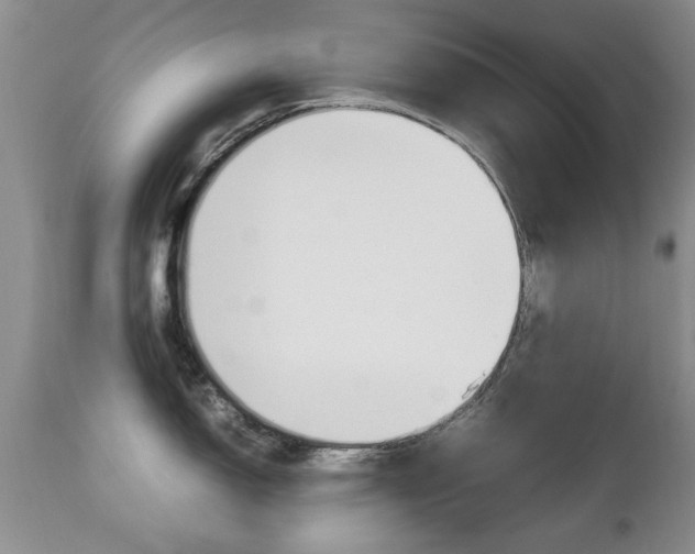 X0000112791150200908210932
