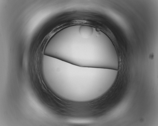 X0000112791151200908210932