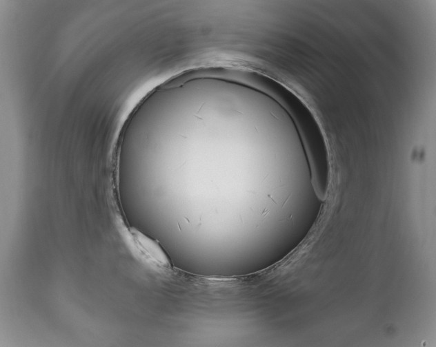 X0000112791152200908210932